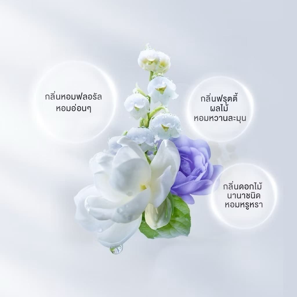 SHISEIDO FINO PREMIUM TOUCH HAIR OIL - ภาพที่ 7