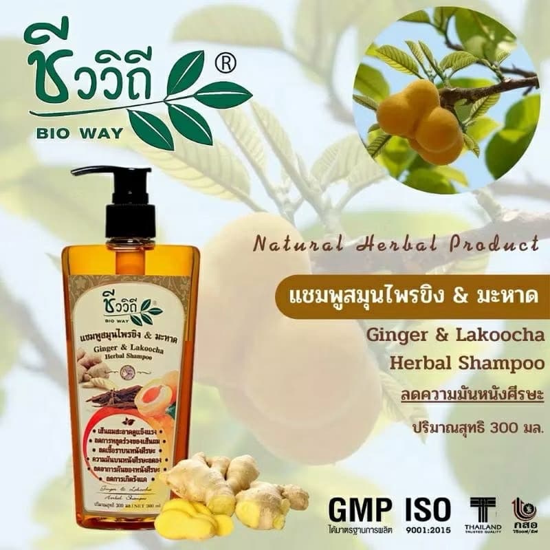 BIO WAY GINGER & LAKOOCHA HERBAL