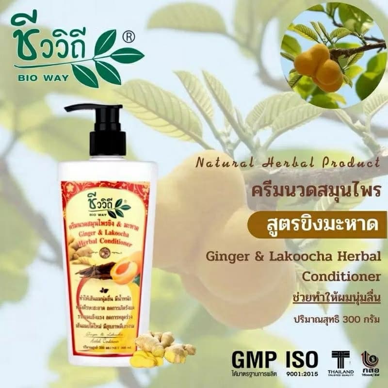 BIO WAY GINGER & LAKOOCHA HERBAL - ภาพที่ 2