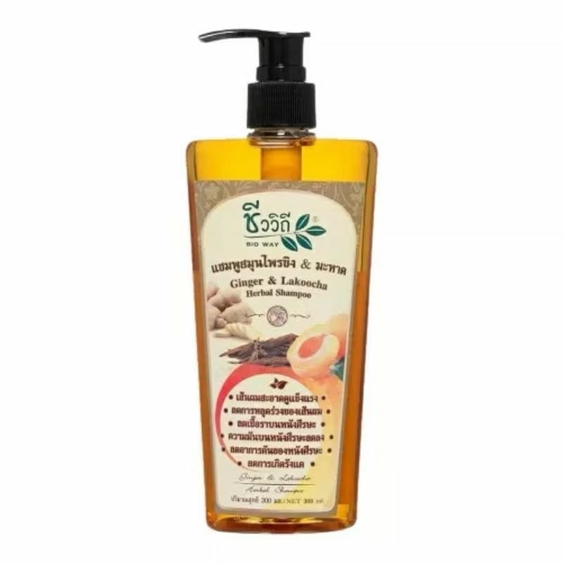 BIO WAY GINGER & LAKOOCHA HERBAL - ภาพที่ 4